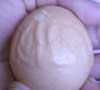 Telur Berlafal Allah Milik Ucup