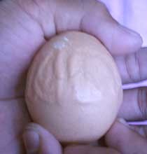 Telur Berlafal Allah Milik Ucup