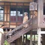 Rumah Panggung Lambang Martabat Orang Bugis