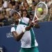 Jankovic Dilewati, Venus Incar Henin