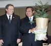 SBY Gendong Wollemy Pine