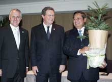 SBY Gendong Wollemy Pine