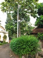 Salut Untuk Telkom dari Subud