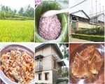 Ramai-Ramai Tea Walk & Turun ke Sawah!!!
