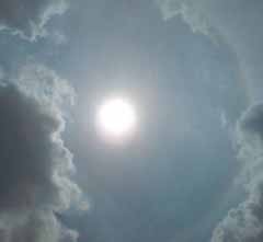 Halo Matahari Nongol Lagi di Jakarta 