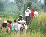 Turun ke Sawah, Banjir Hadiah dan Oleh-oleh!
