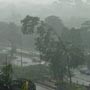 Pohon Tumbang Lumpuhkan Busway Kuningan-Ragunan