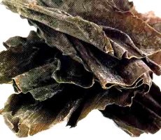 Kombu