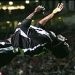 Newcastle (Akhirnya) Menang