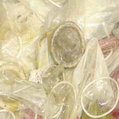 Yetuk eshaklarning haqiqiy fotosuratlari