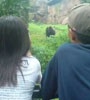 Aksi Kombo Dkk Jadi Tontonan Orang Pacaran