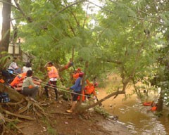 Nekat Berenang di Kali Ciliwung, Sopir Bajaj Hanyut Terseret Arus