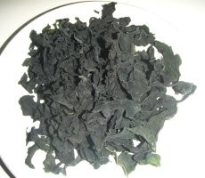 Wakame Jepang