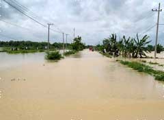 Banjir Bojonegoro dalam Foto
