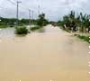 Banjir Bojonegoro dalam Foto