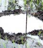 Tidak Ada Material Batu Besar di Lokasi Jatuhnya Meteor