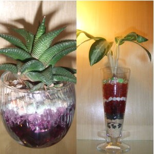 Tanah Baru untuk Tanaman