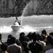 Quiksilver Revolution 2.0: Revolusi Terus Berlangsung!