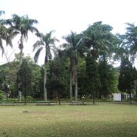 Sudah Duduk Lupa Berdiri
Sudah Duduk, Lupa Berdiri