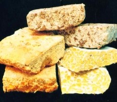 Bikin Tempe Sendiri