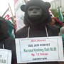 Alakazam! 7 Koruptor BLBI Dikutuk Jadi Monyet Hitam