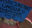 Glek! Undur-undur Ditelan Hilangkan Diabetes