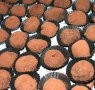Bermain Cokelat di Bulan Penuh Kasih Sayang