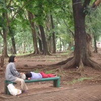Oase Peninggalan Tempo Dulu