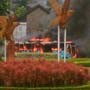 Gas Tercium Sejak di Harmoni, Sejumlah Penumpang Luka
