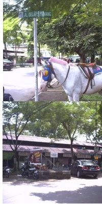 Santapan ala Mahasiswa di Gelap Nyawang