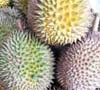 Pesta Durian di Baduy