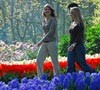 Taman Surgawi Keukenhof Resmi Dibuka