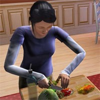 The Sims 3 Melenggang di 2009