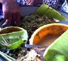 Susah Cari di Surabaya, Daun Semanggi Terpaksa Impor