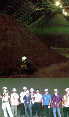 Berdiri di Gunung Emas Newmont