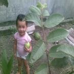 Naura Syahirah Salsabilla, 2,11 Tahun; Perempuan; f