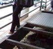 Jembatan  Polda Rusak Parah akibat Pelat & Paku Dicuri Bandit