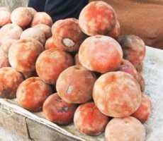 Bisbol, Kok Buah?