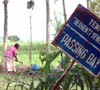 Produksi Blok Cepu Akhirnya Digeser ke Lahan Perhutani