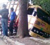 Truk Hajar Motor dan Angkot