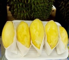 Kuliner Ekstrem