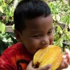 Jonathan Richard Christian Mestoko, 2,11 Tahun; Lelaki; m