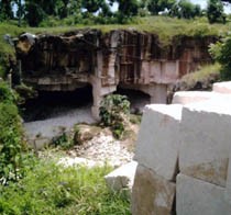 Goa Fosil di Tuban Terancam Hilang