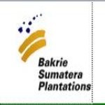 Bakrie Plantations Incar Lahan Kelapa Sawit di Papua