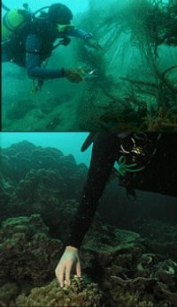 Eco-friendly Diving Demi Lingkungan
