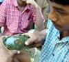 Sebelum Menemukan Kepiting Itu Marjuki Bermimpi Aneh
