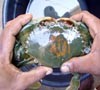 Digosok Berulang Kali, Lafal Allah di Kepiting Tidak Hilang