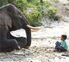 Foto Anak dan Gajah Sumatera Menangi Lomba Foto di Swedia