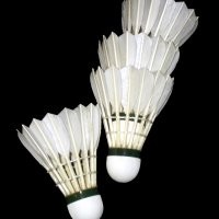Shuttlecock: Bulu vs Plastik