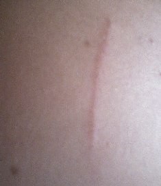 Kejatuhan Banner Guess Sale